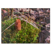 Spring Morel Snijplank (Voorkant)