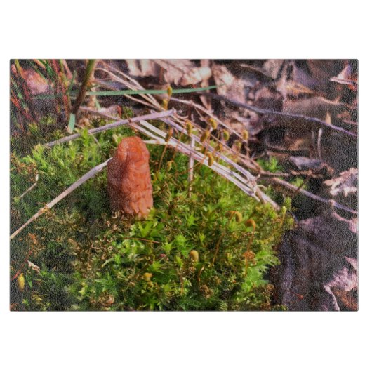 Spring Morel Snijplank (Voorkant)