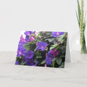 Spring Morning Glories in Blue Feestdagen Kaart