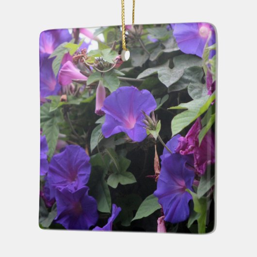 Spring Morning Glories in Blue Keramisch Ornament (Links)