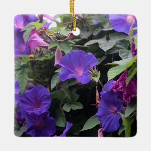 Spring Morning Glories in Blue Keramisch Ornament (Voorkant)