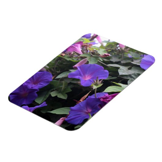 Spring Morning Glories in Blue Magneet (Linkerzijde)