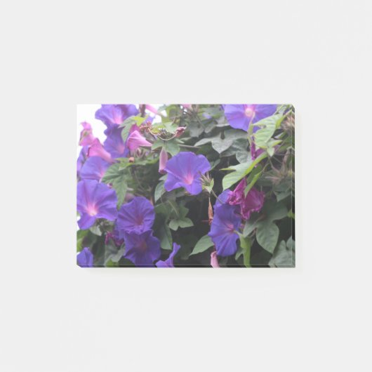 Spring Morning Glories in Blue Post-it® Notes (Voorkant)