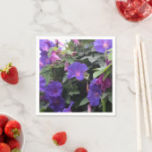 Spring Morning Glories in Blue Servet (Insitu)