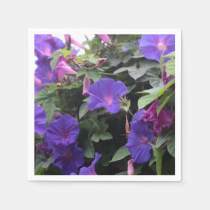 Spring Morning Glories in Blue Servet