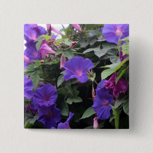 Spring Morning Glories in Blue Vierkante Button 5,1 Cm (Voorkant)