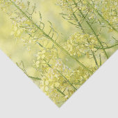 Spring Mustard Tissuepapier (Detail)