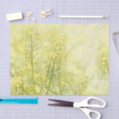 Spring Mustard Tissuepapier (Craft)