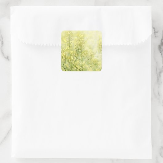 Spring Mustard Vierkante Sticker (Tas)