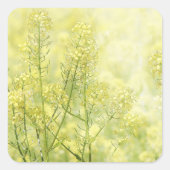 Spring Mustard Vierkante Sticker (Voorkant)
