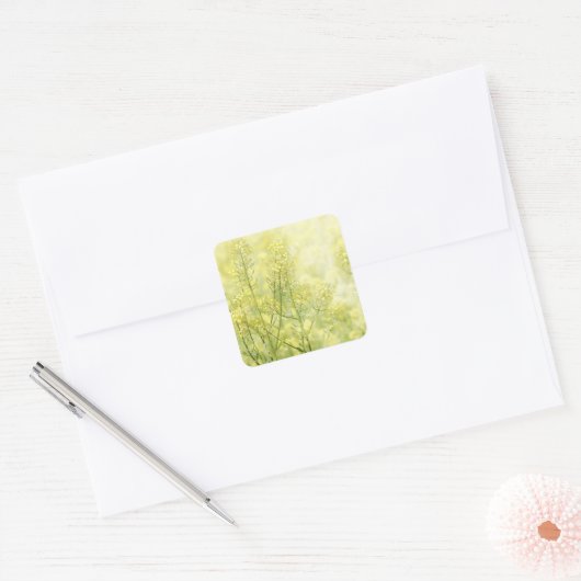 Spring Mustard Vierkante Sticker (Envelop)