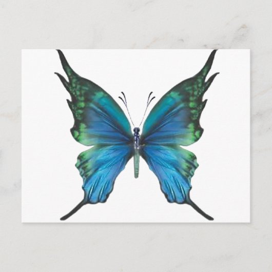 Spring Myst Briefkaart (Voorkant)