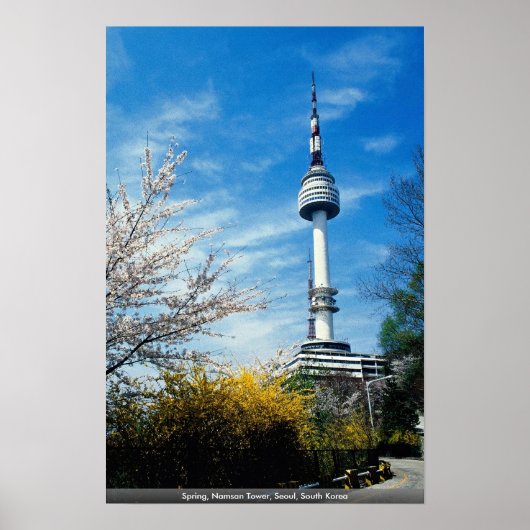 Spring, Namsan Tower, Seoul, Zuid-Korea Poster (Voorkant)