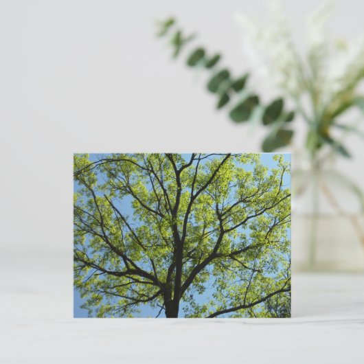 Spring Oak Tree Vibrant Natuur Briefkaart (Staand voorkant)