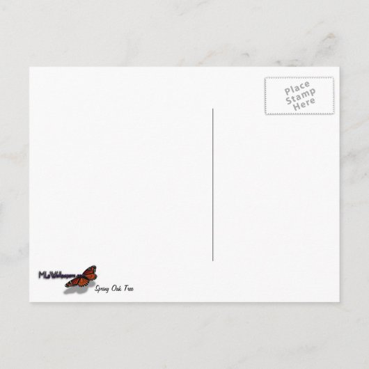 Spring Oak Tree Vibrant Natuur Briefkaart (Achterkant)