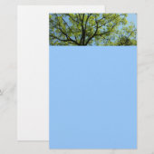 Spring Oak Tree Vibrant Natuur Briefpapier (Voorkant / Achterkant)