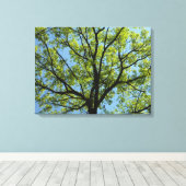 Spring Oak Tree Vibrant Natuur Canvas Afdruk (Insitu (Houten vloer))