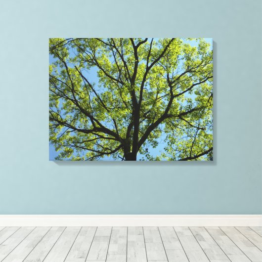 Spring Oak Tree Vibrant Natuur Canvas Afdruk (Insitu (Houten vloer))