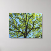 Spring Oak Tree Vibrant Natuur Canvas Afdruk (Voorkant)