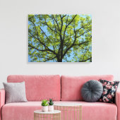 Spring Oak Tree Vibrant Natuur Canvas Afdruk (Insitu (Woonkamer))