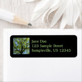 Spring Oak Tree Vibrant Natuur Etiket (Insitu)