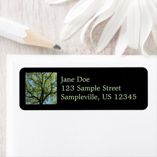 Spring Oak Tree Vibrant Natuur Etiket (Insitu)