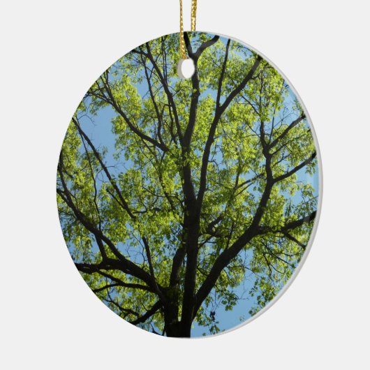 Spring Oak Tree Vibrant Natuur Keramisch Ornament (Links)