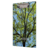 Spring Oak Tree Vibrant Natuur Klembord (Links)