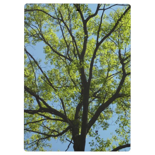 Spring Oak Tree Vibrant Natuur Klembord (Achterkant)