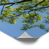 Spring Oak Tree Vibrant Natuur Poster (Hoek)