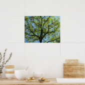 Spring Oak Tree Vibrant Natuur Poster (Keuken)