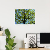 Spring Oak Tree Vibrant Natuur Poster (Thuiskantoor)