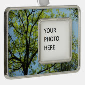 Spring Oak Tree Vibrant Natuur Verzilverd Omlijst Ornament (Rechts)