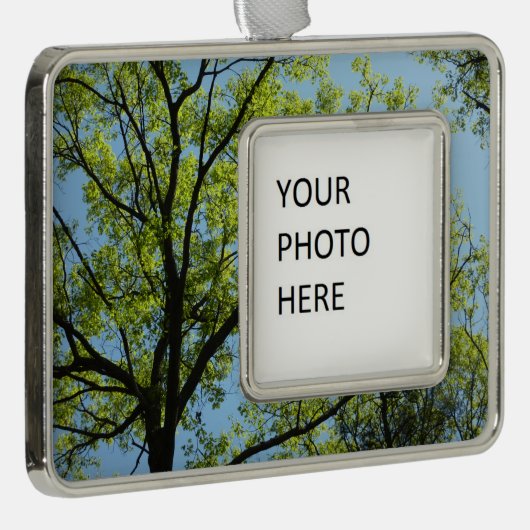 Spring Oak Tree Vibrant Natuur Verzilverd Omlijst Ornament (Rechts)