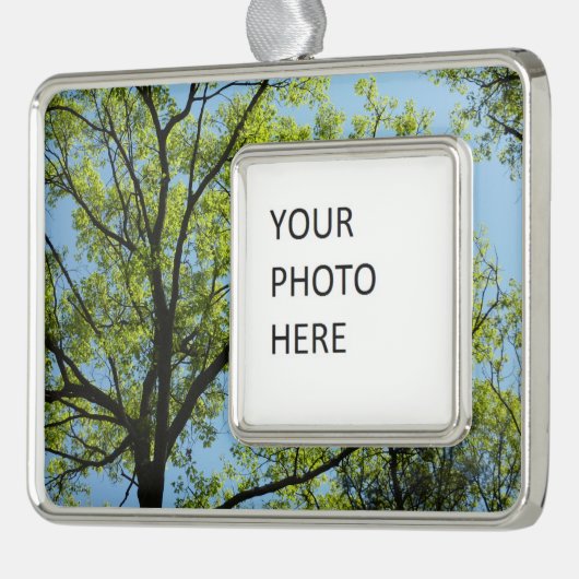 Spring Oak Tree Vibrant Natuur Verzilverd Omlijst Ornament (Links)