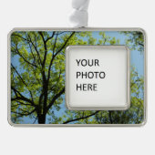 Spring Oak Tree Vibrant Natuur Verzilverd Omlijst Ornament (Voorkant)