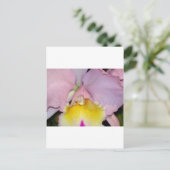 Spring Orchid Briefkaart (Staand voorkant)