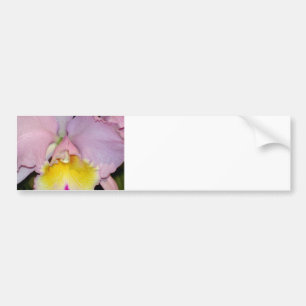 Spring Orchid Bumpersticker