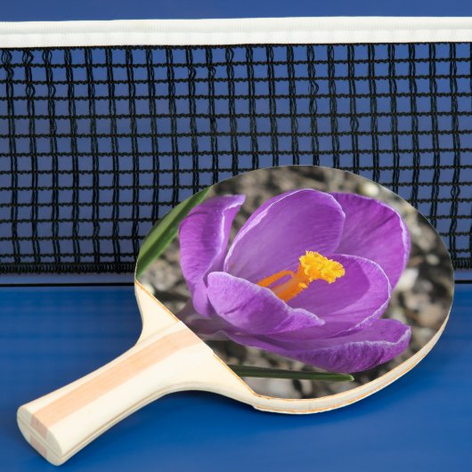 Spring Paars Crocus Flower Photo 2-Sided Printn Tafeltennisbatje (Insitu)