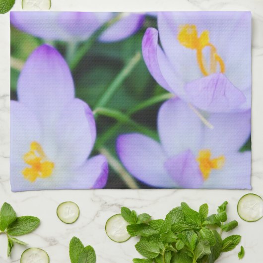 Spring Paarse Crocus Blooms Keukenhanddoeken (Gevouwen)