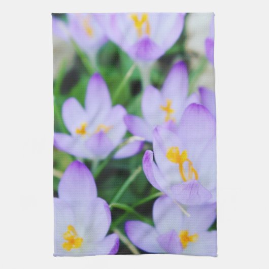 Spring Paarse Crocus Blooms Keukenhanddoeken (Verticaal)
