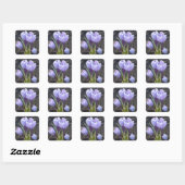 SPRING PAARSE CROCUS VIERKANTE STICKER (Vel)