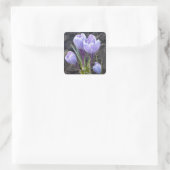 SPRING PAARSE CROCUS VIERKANTE STICKER (Tas)