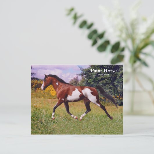 Spring Paint Horse Briefkaart (Staand voorkant)