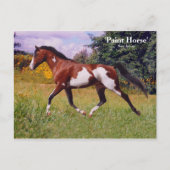 Spring Paint Horse Briefkaart (Voorkant)
