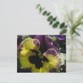 Spring Pansy Briefkaart (Staand voorkant)