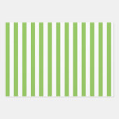 Spring Pastel Gestreepte Patroon Set Inpakpapier Vel (Voorkant)