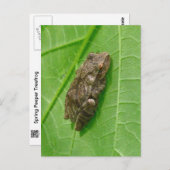 Spring Peeper (Pseudacris crucifer) Treefrog Items Briefkaart (Voorkant / Achterkant)