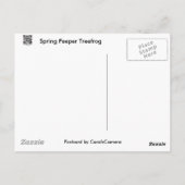 Spring Peeper (Pseudacris crucifer) Treefrog Items Briefkaart (Achterkant)