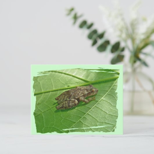 Spring Peeper (Pseudacris crucifer) Treefrog Items Briefkaart (Staand voorkant)
